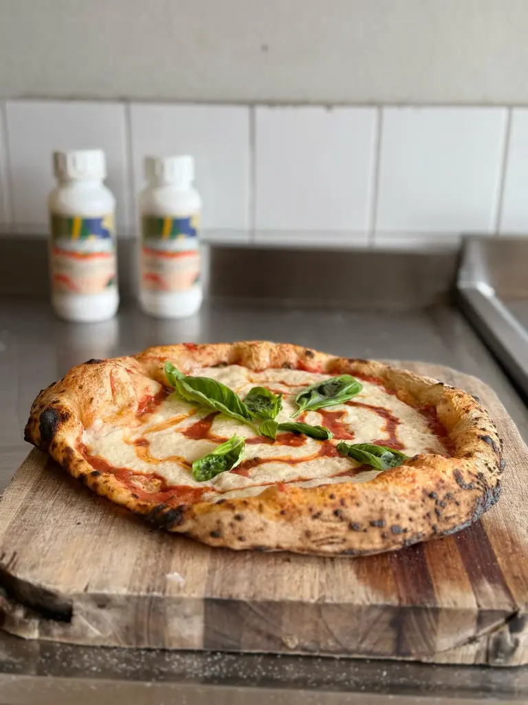 WhatsApp Image 2026-02-11 at 15.57.05.webp